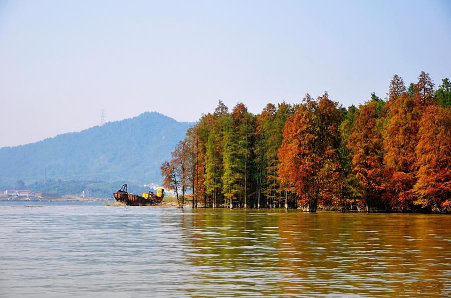 【青山湖赏秋】临安青山湖赏秋,水上森林特价一日