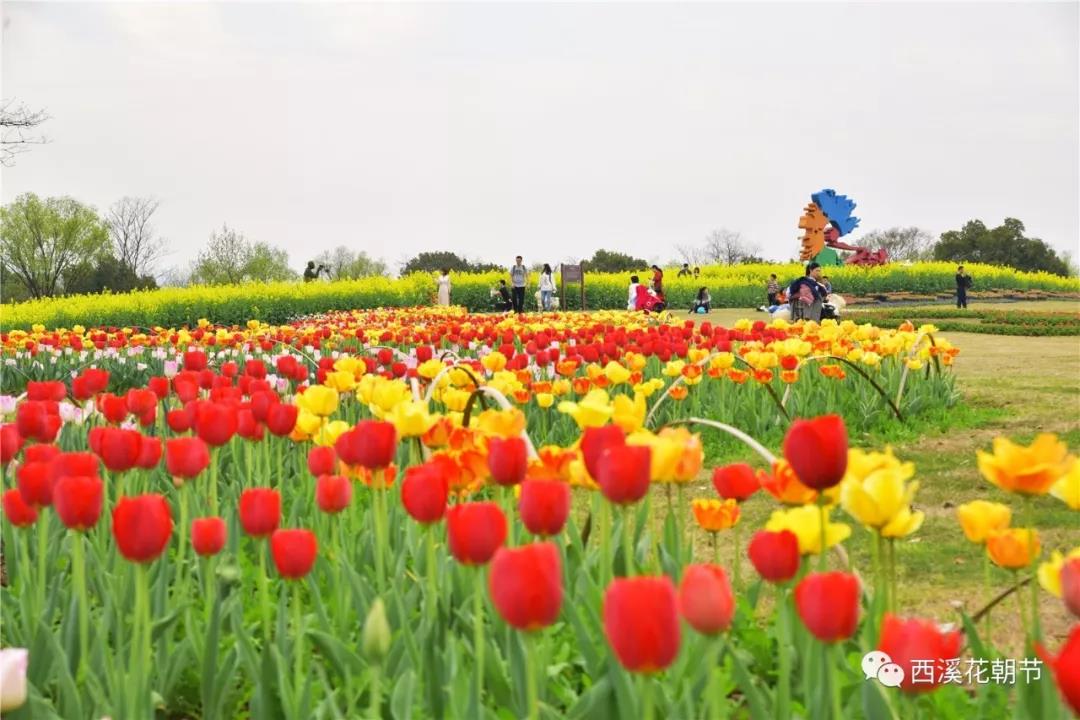 西溪花朝节