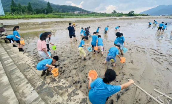 滩涂赶海