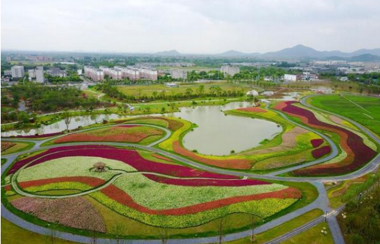 铜鉴湖花海2