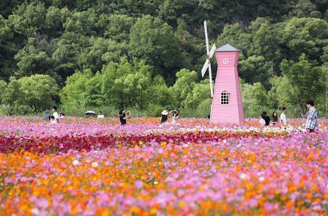 铜鉴湖花海